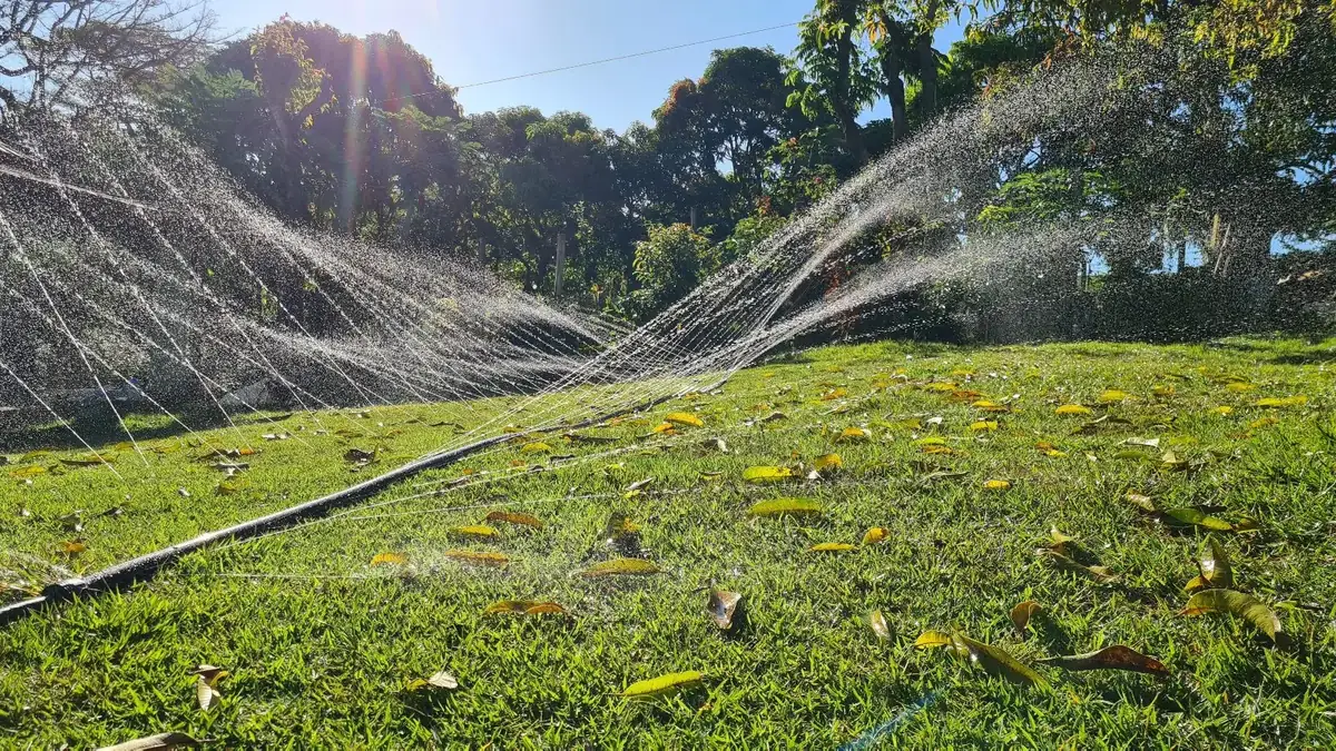 Irrigação