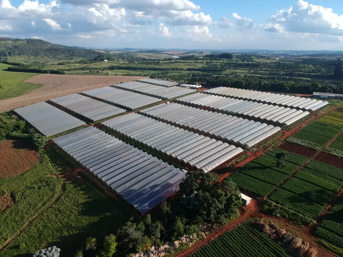 Cultivo Protegido